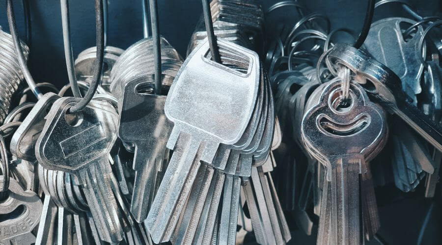 Professional gutter cleaning in Romney, WV